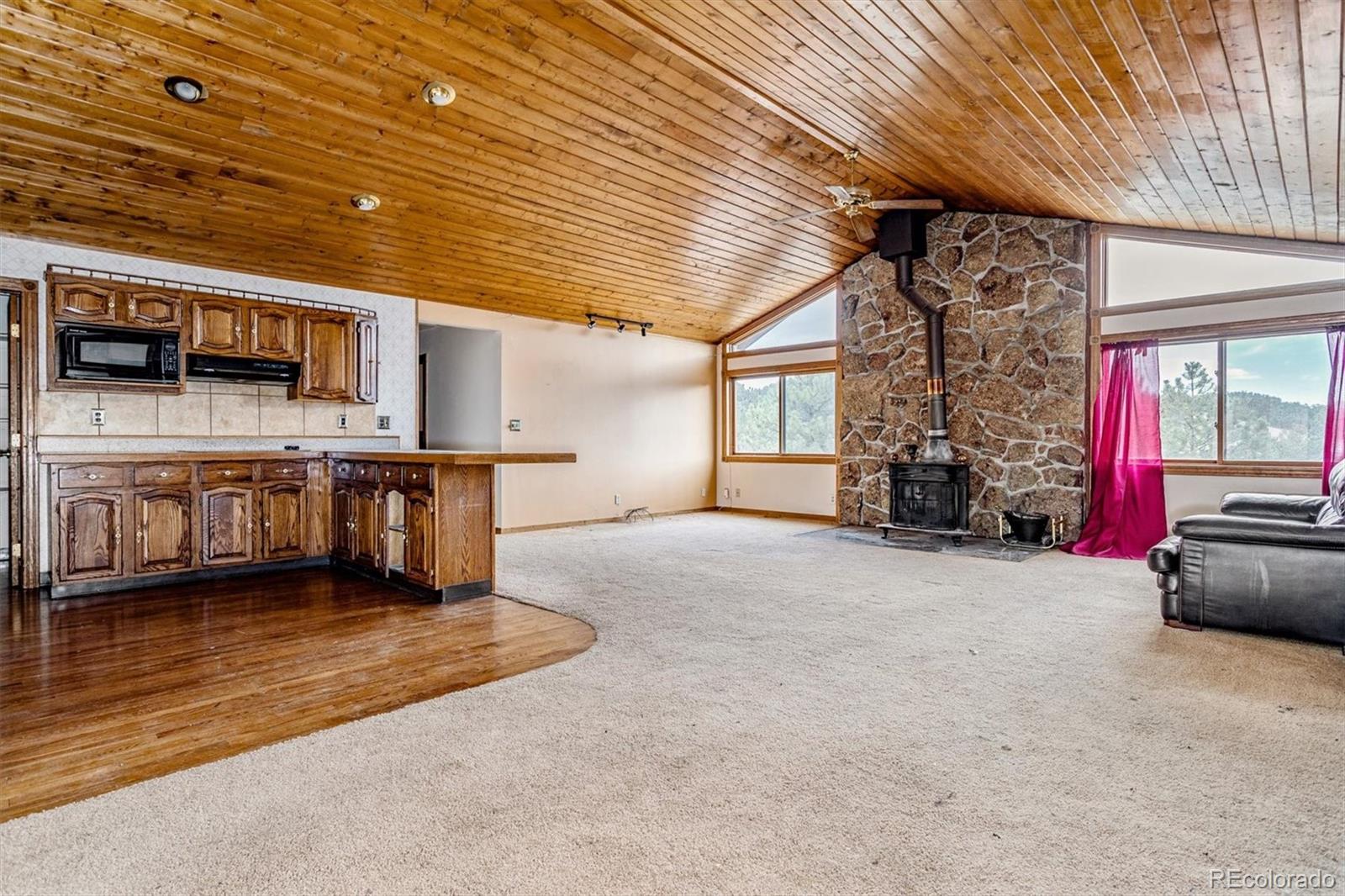 MLS Image #7 for 30433  ruby ranch road,evergreen, Colorado