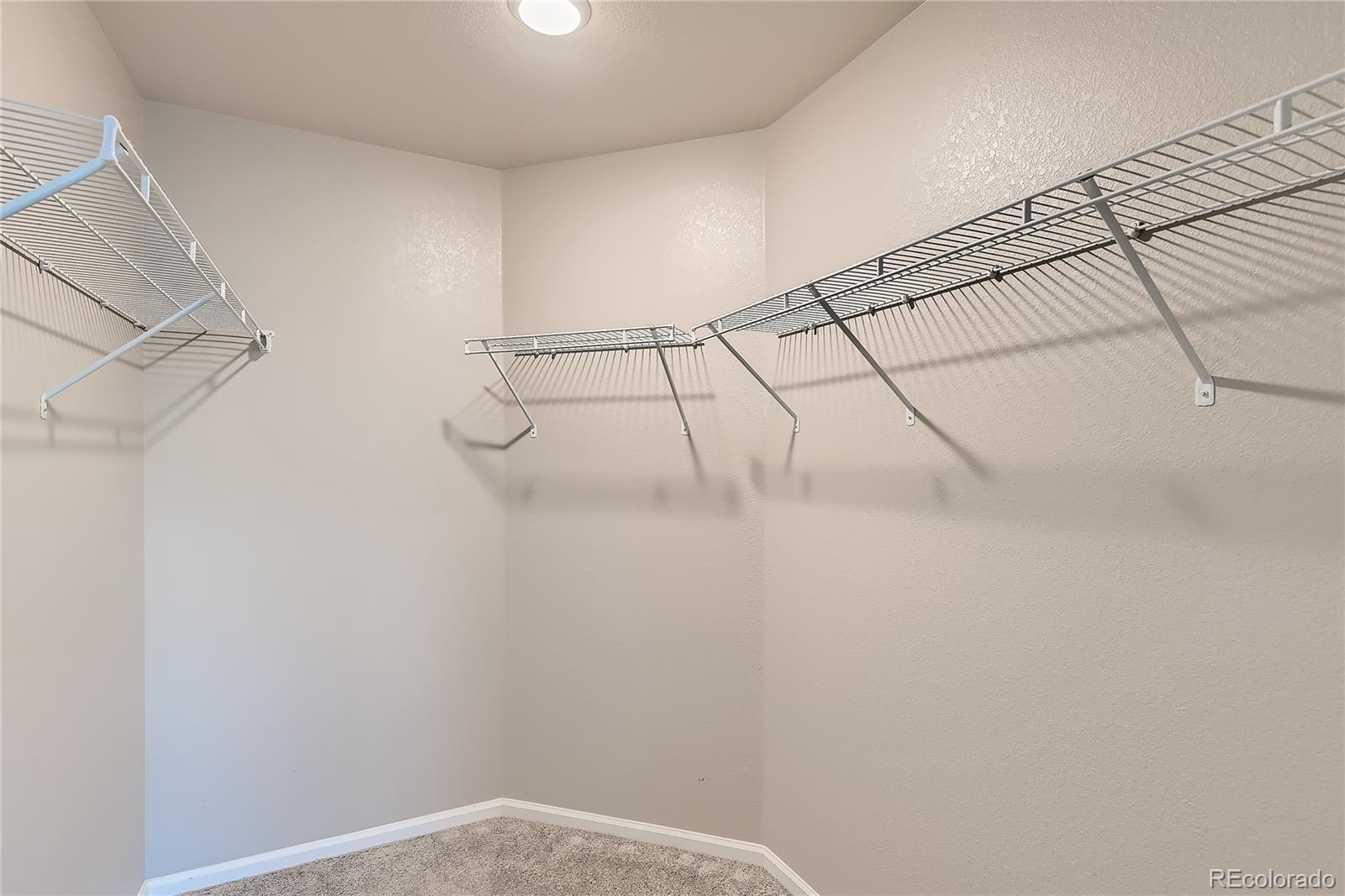 MLS Image #19 for 2913  pawnee creek drive,loveland, Colorado