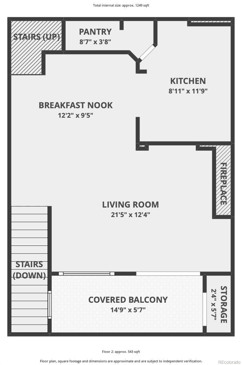 MLS Image #13 for 457  black feather loop,castle rock, Colorado