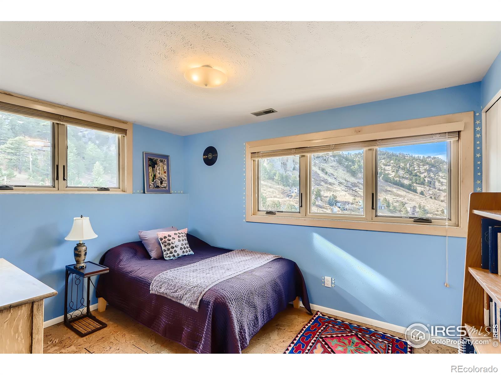 MLS Image #15 for 389 s cedar brook road,boulder, Colorado
