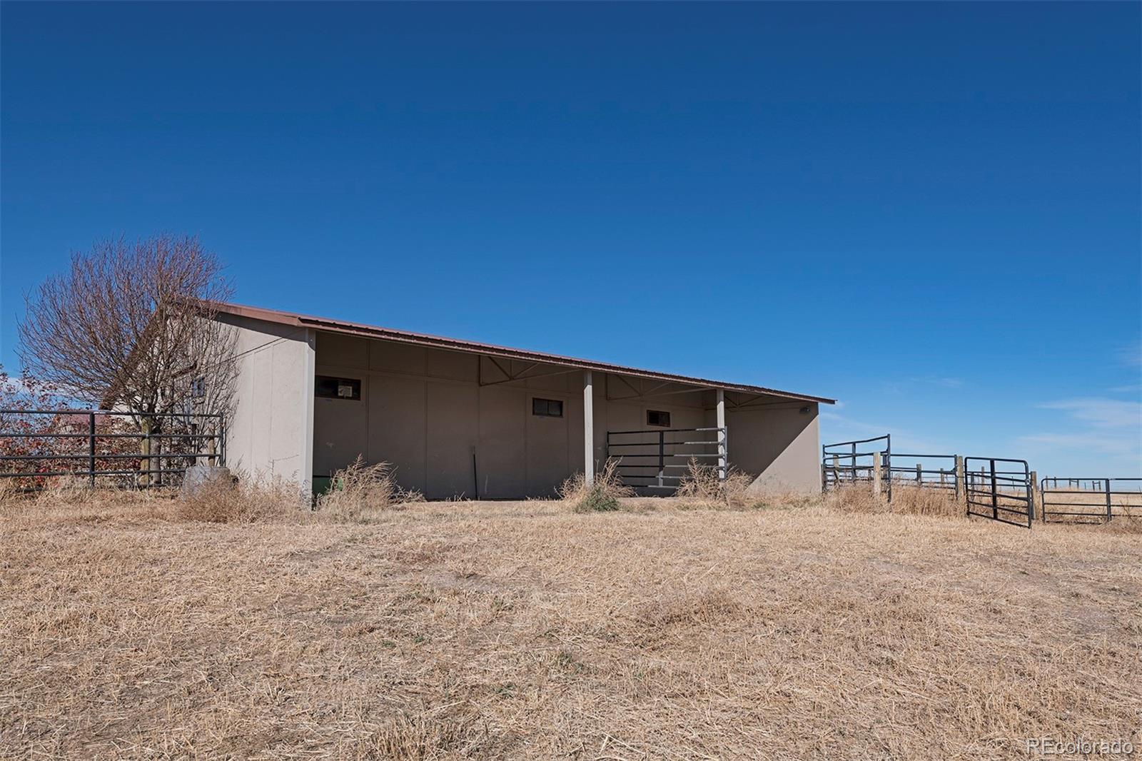 MLS Image #29 for 1764  mesa ridge lane,castle rock, Colorado