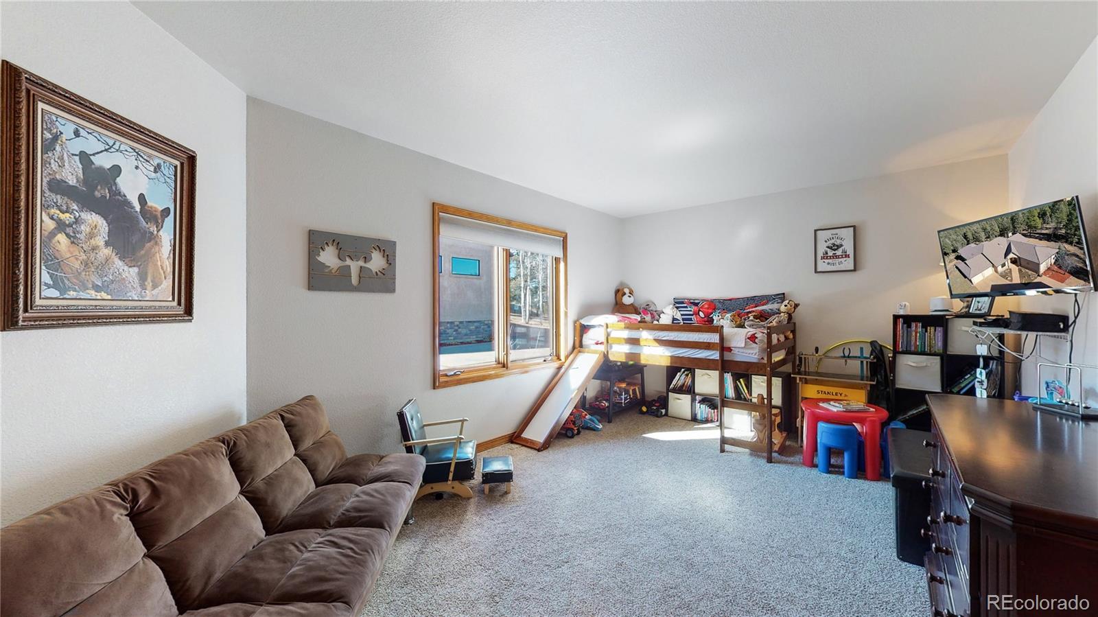 MLS Image #11 for 600  elk ridge ,divide, Colorado
