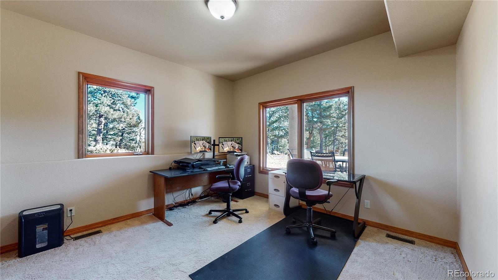 MLS Image #13 for 600  elk ridge ,divide, Colorado