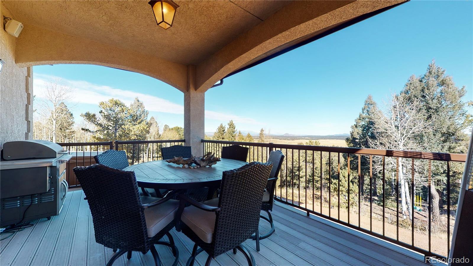 MLS Image #19 for 600  elk ridge ,divide, Colorado