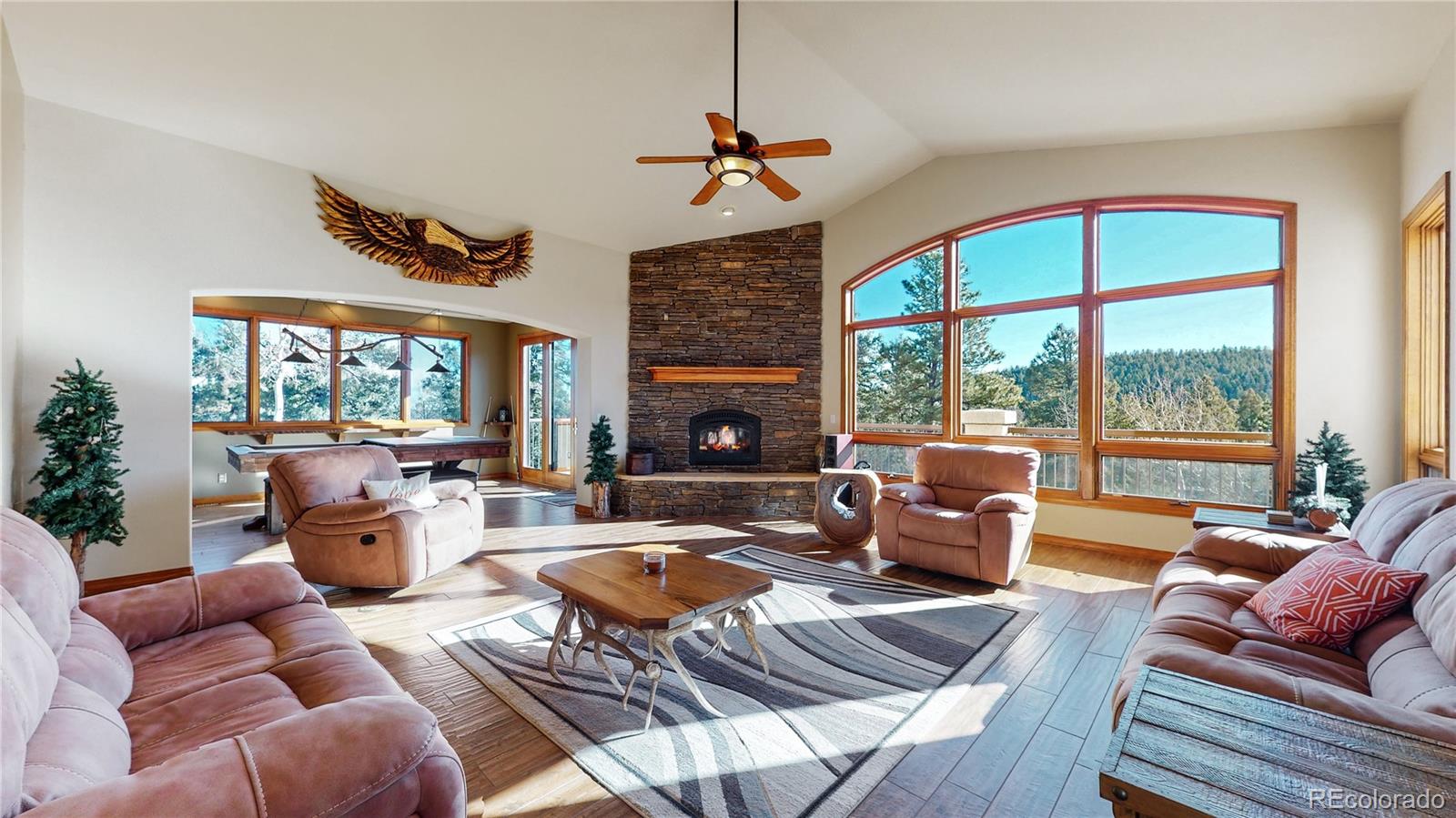MLS Image #2 for 600  elk ridge ,divide, Colorado