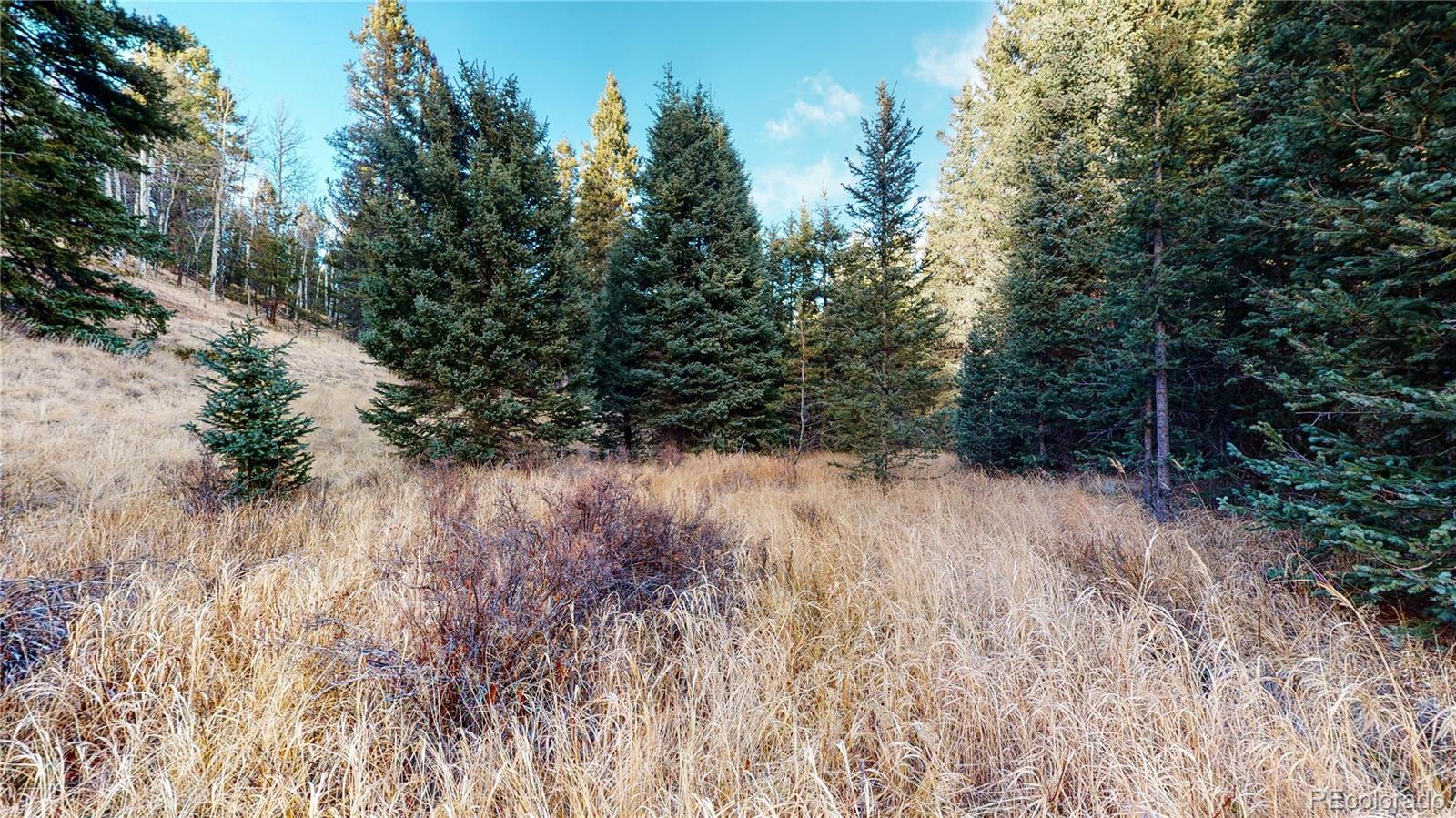 MLS Image #36 for 600  elk ridge ,divide, Colorado