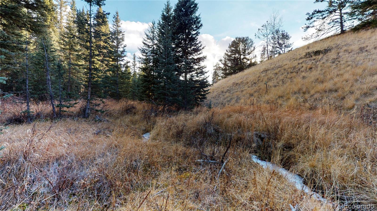 MLS Image #37 for 600  elk ridge ,divide, Colorado