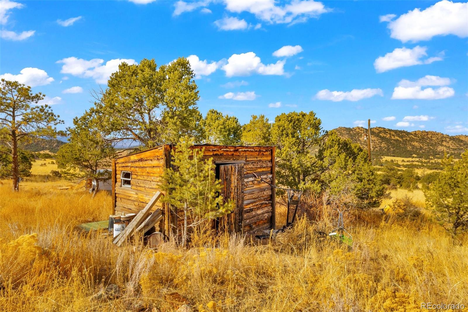 MLS Image #22 for 12100  county road 255 ,westcliffe, Colorado