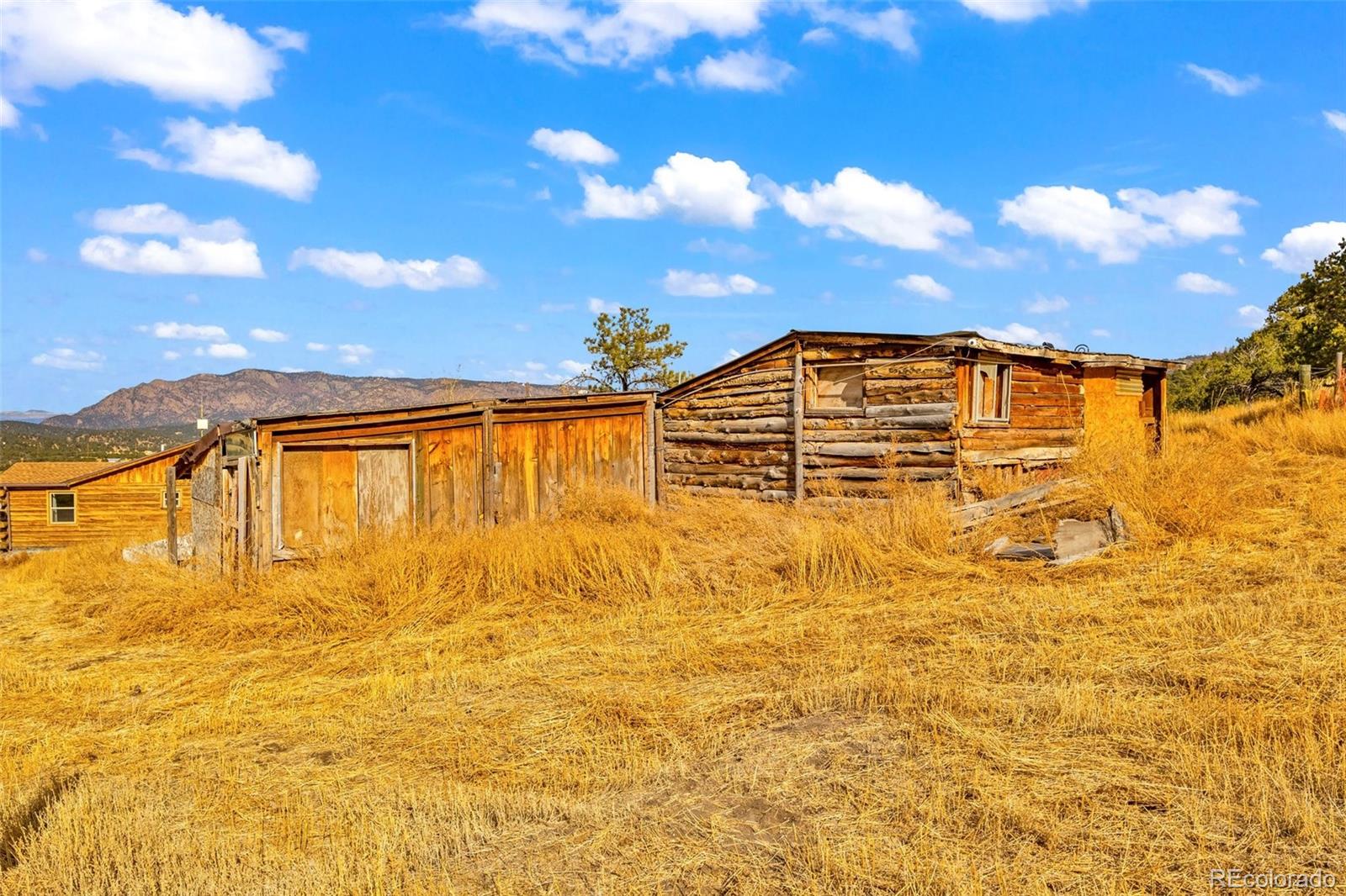 MLS Image #23 for 12100  county road 255 ,westcliffe, Colorado