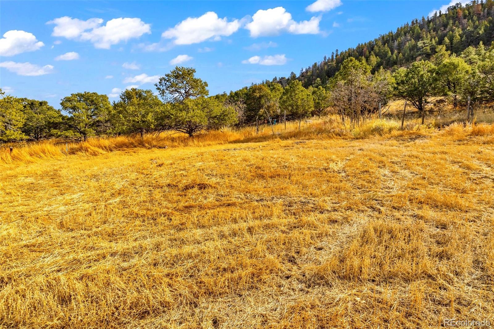 MLS Image #25 for 12100  county road 255 ,westcliffe, Colorado