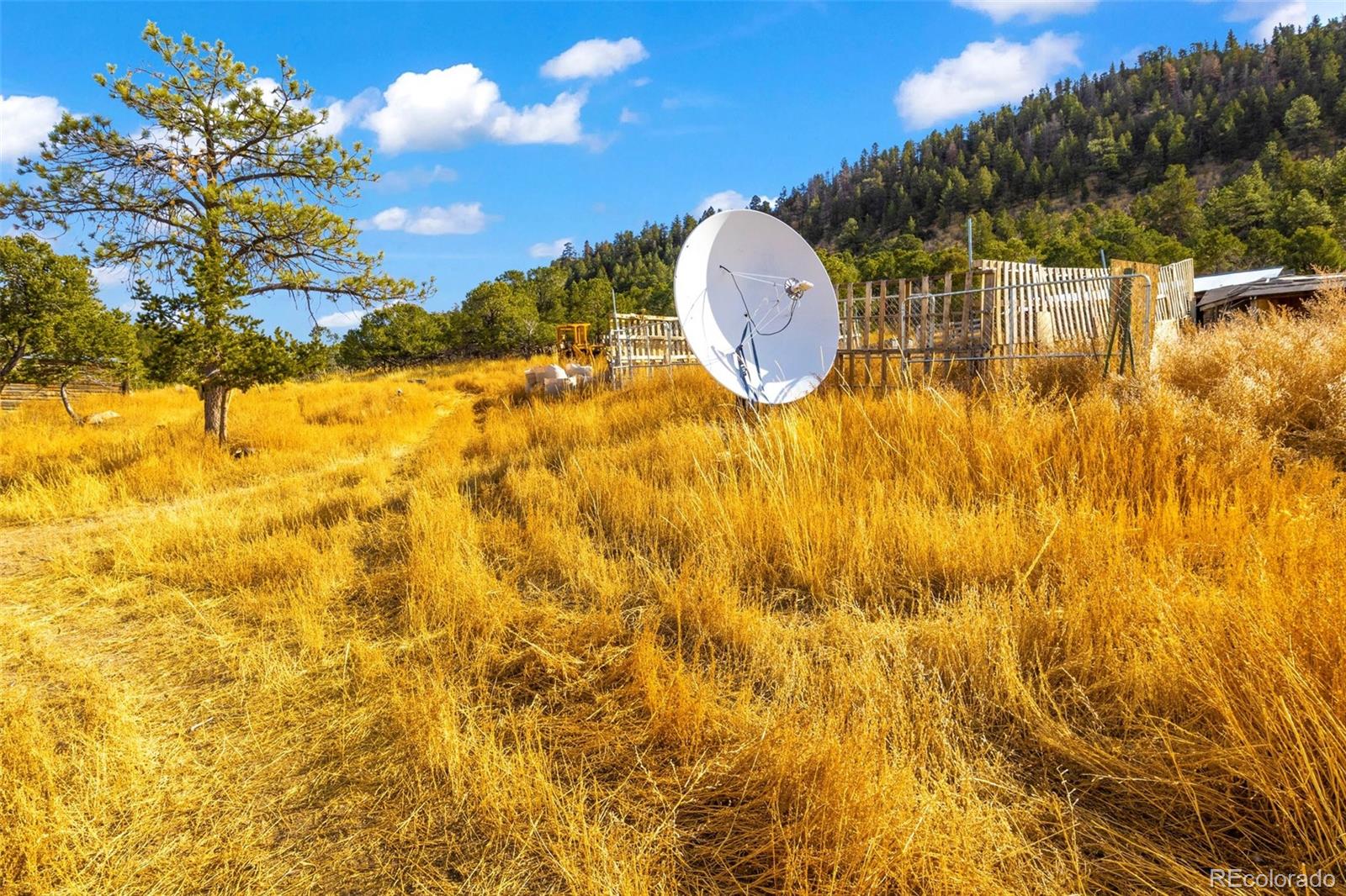 MLS Image #26 for 12100  county road 255 ,westcliffe, Colorado