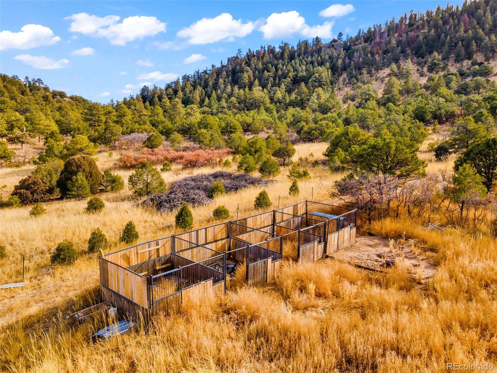 MLS Image #28 for 12100  county road 255 ,westcliffe, Colorado