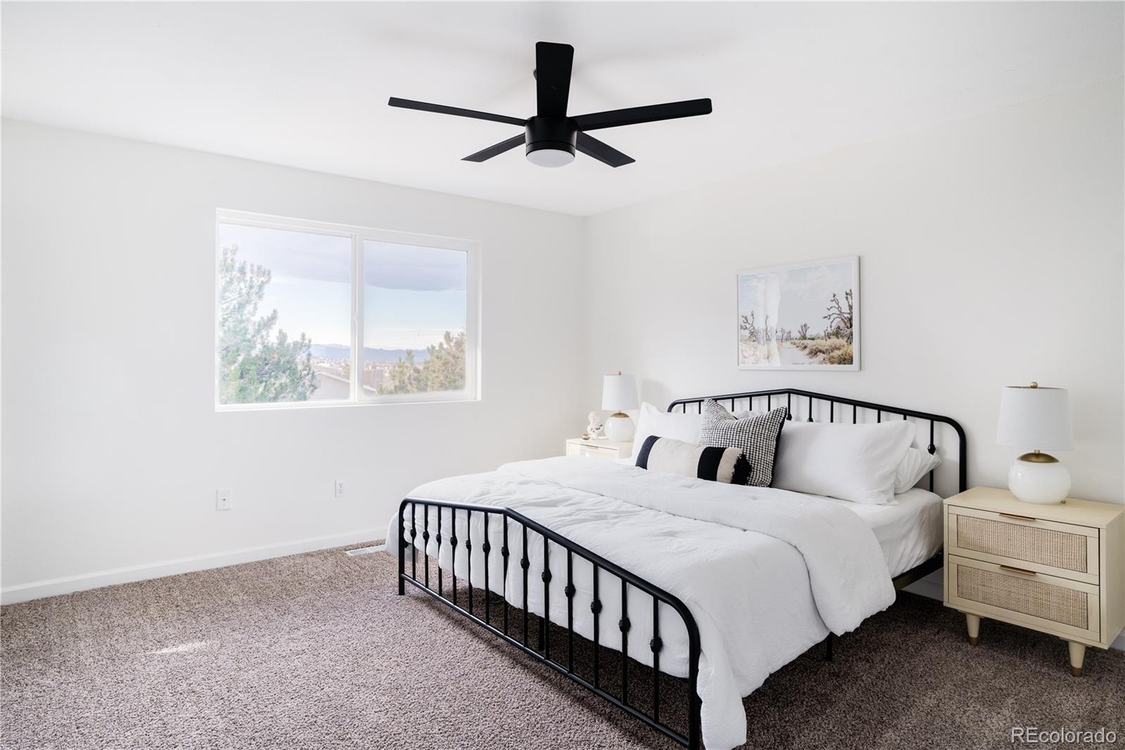 MLS Image #8 for 919  oakwood drive,castle rock, Colorado