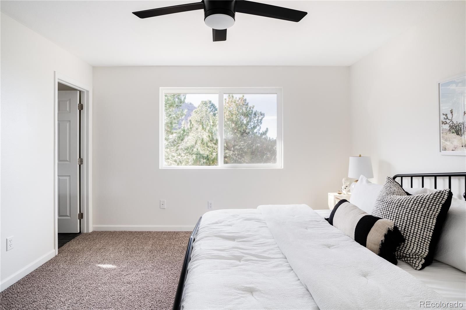 MLS Image #9 for 919  oakwood drive,castle rock, Colorado