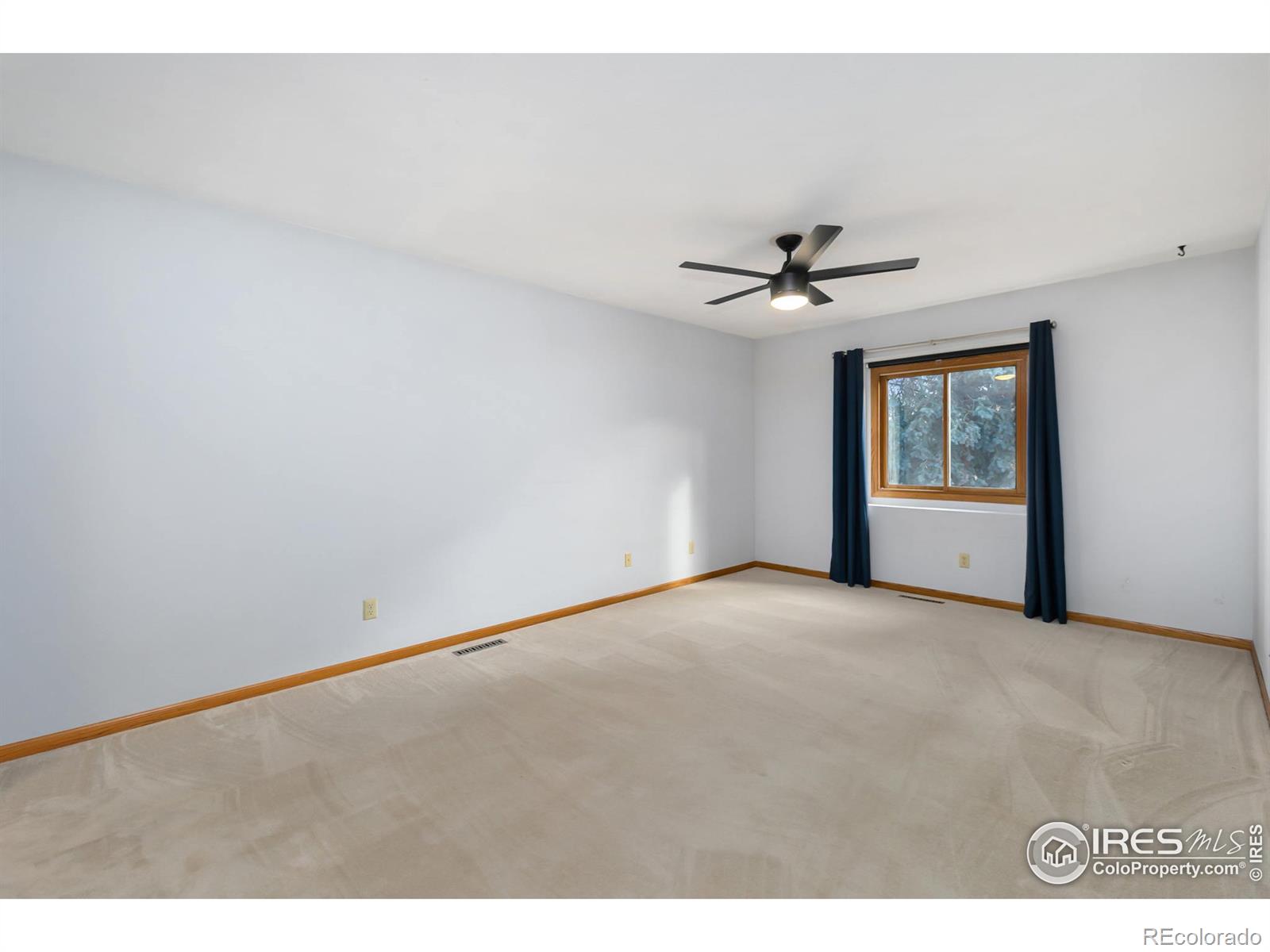 MLS Image #19 for 3431  sun disk court,fort collins, Colorado