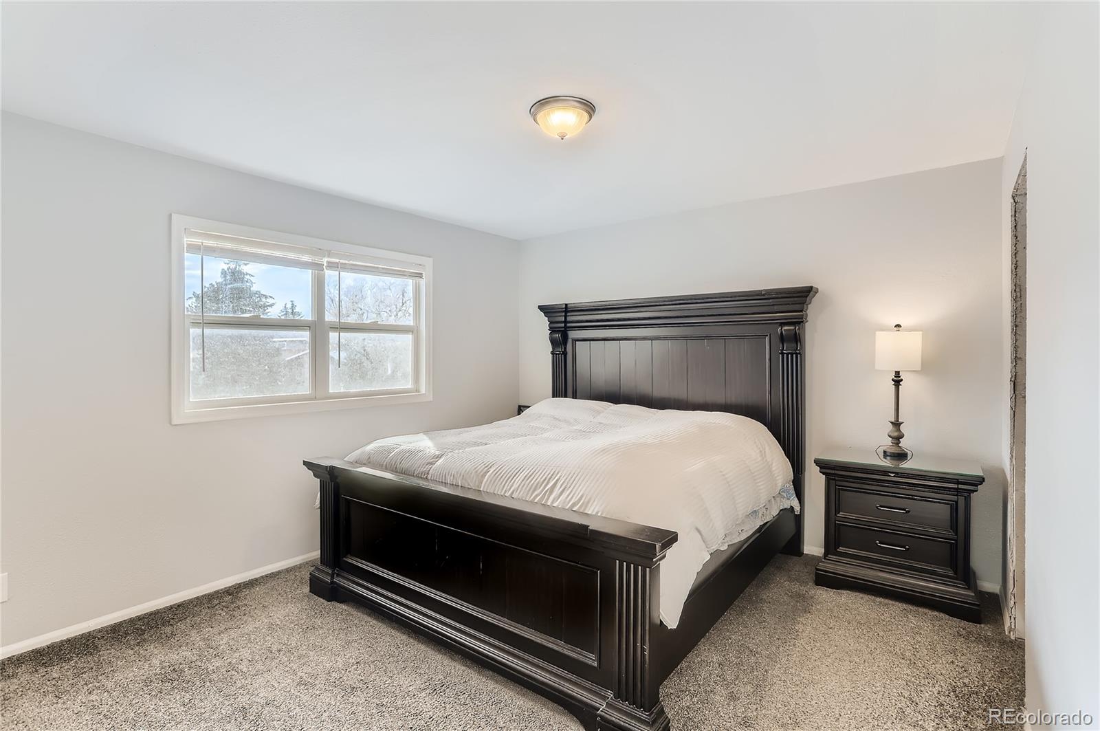 MLS Image #13 for 1811  shavano street,longmont, Colorado