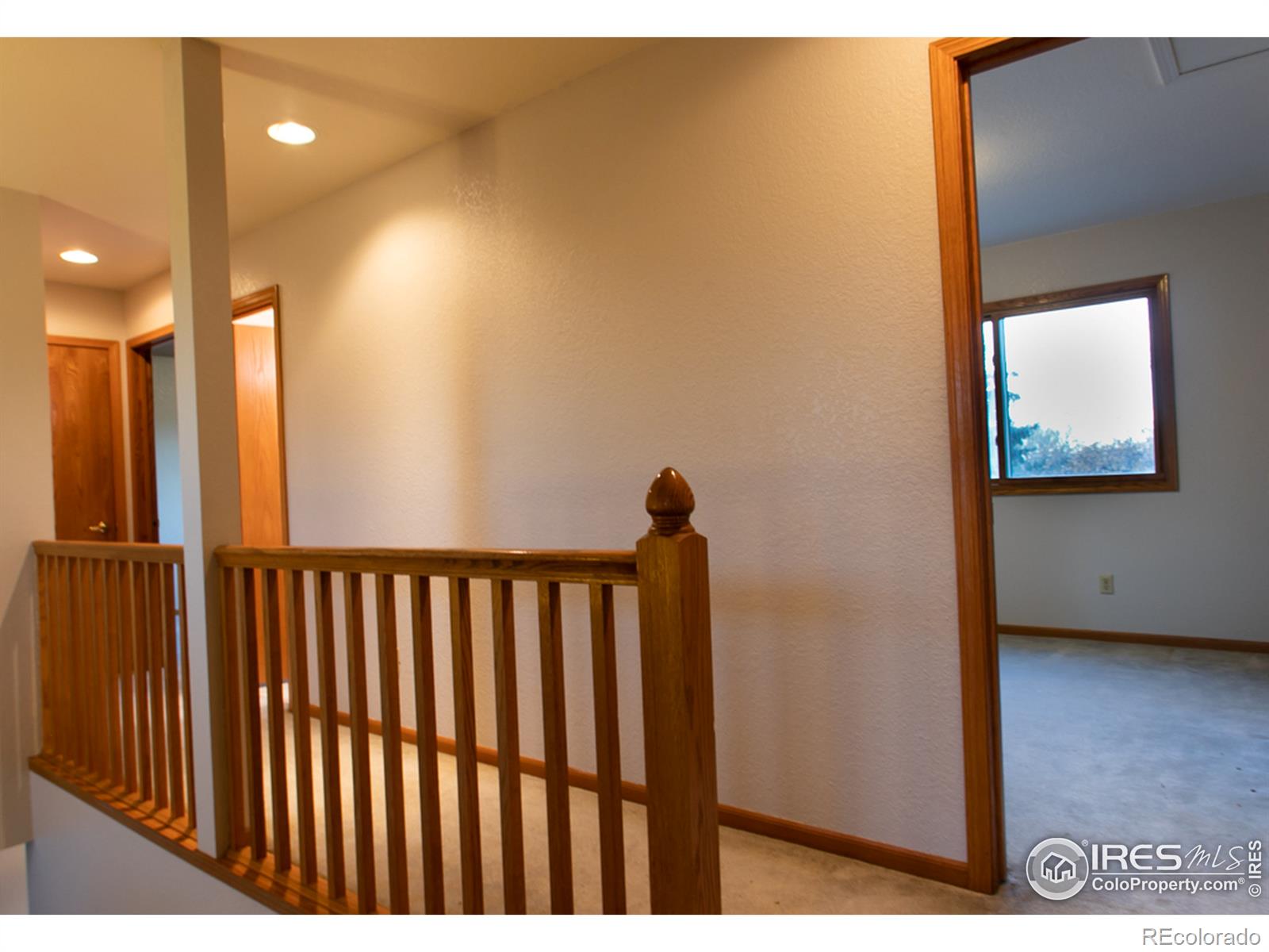 MLS Image #10 for 1313  sanford drive,fort collins, Colorado