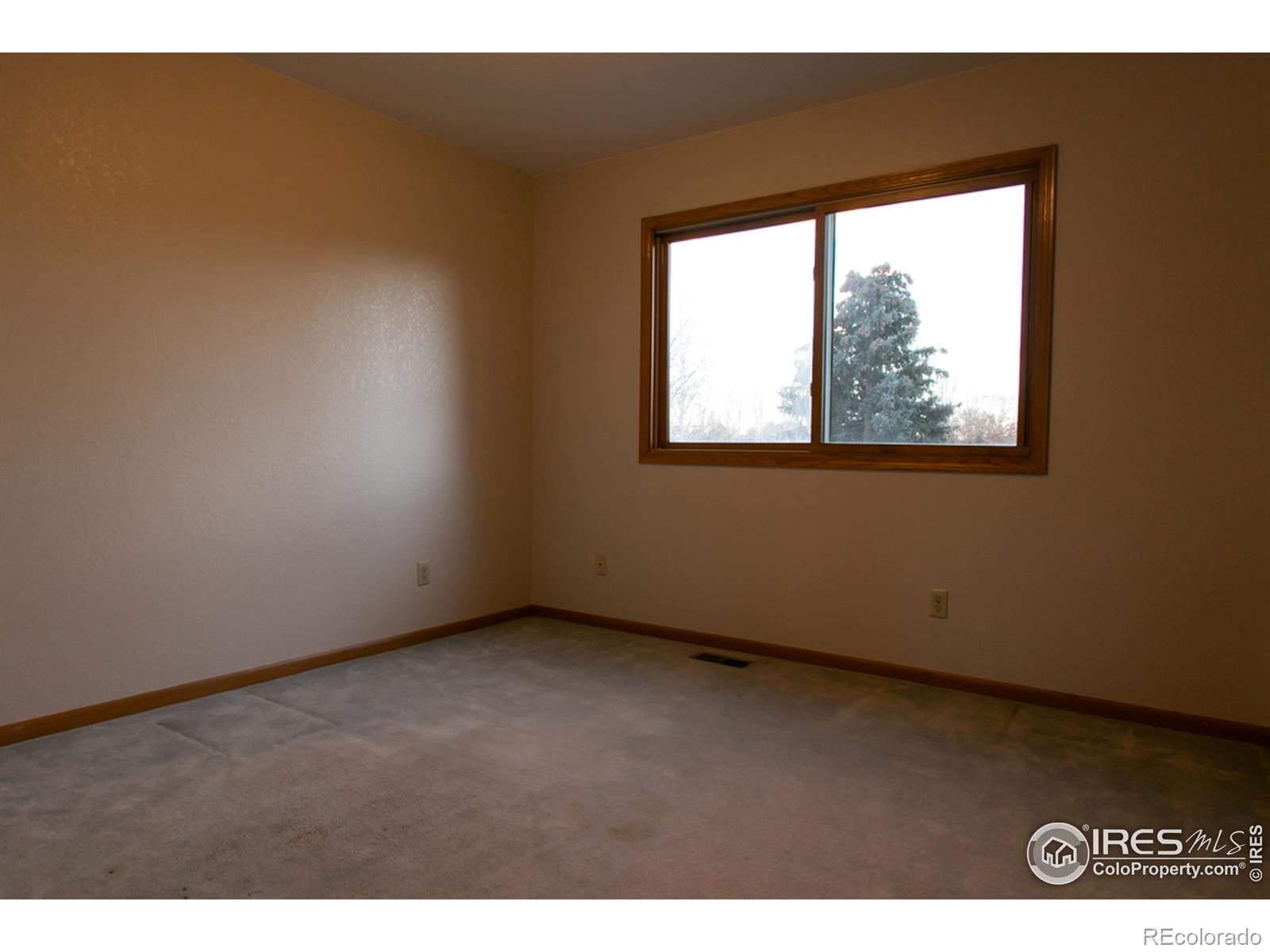 MLS Image #16 for 1313  sanford drive,fort collins, Colorado