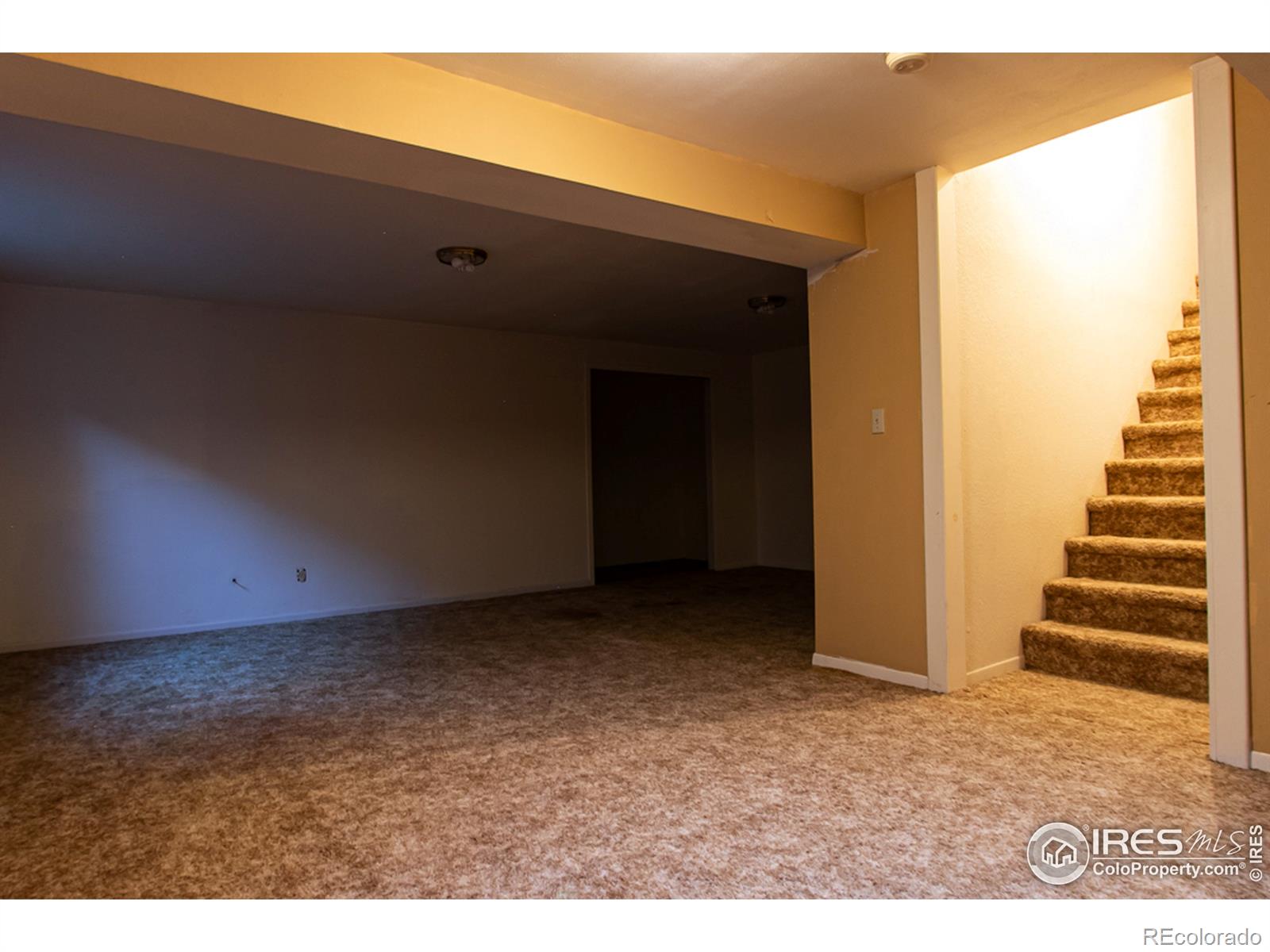 MLS Image #22 for 1313  sanford drive,fort collins, Colorado