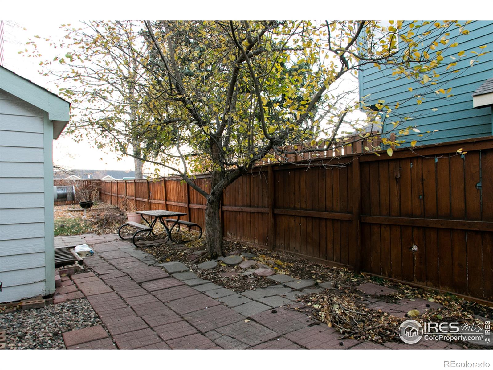 MLS Image #29 for 1313  sanford drive,fort collins, Colorado