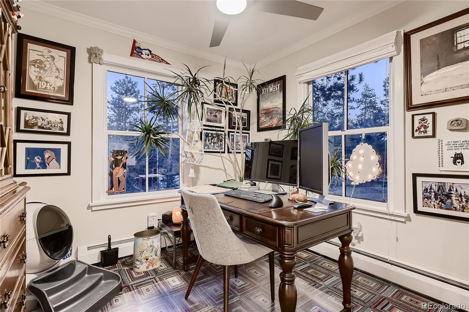 MLS Image #10 for 8631  blue creek road,evergreen, Colorado