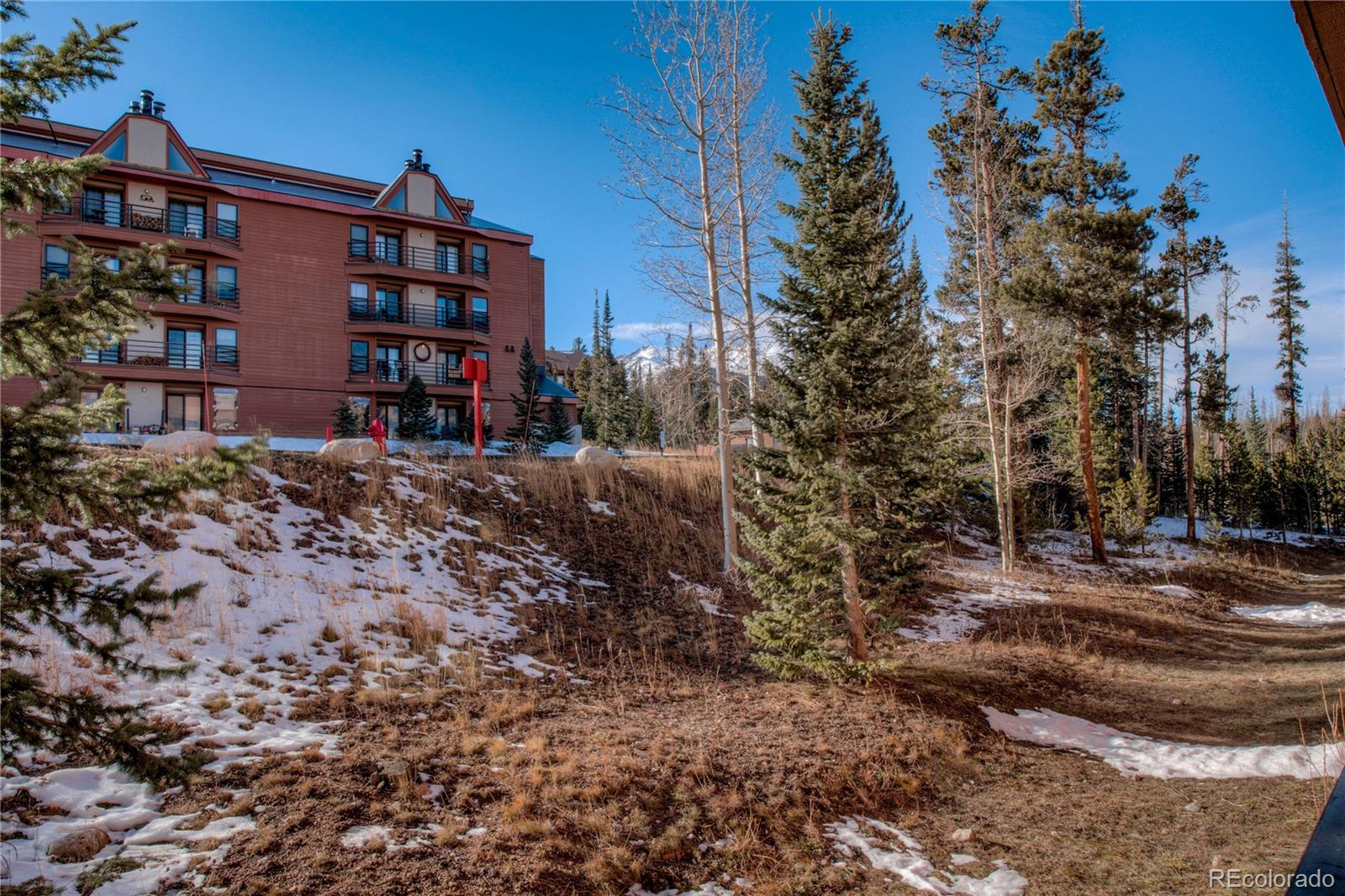 MLS Image #22 for 89310  ryan gulch road,silverthorne, Colorado