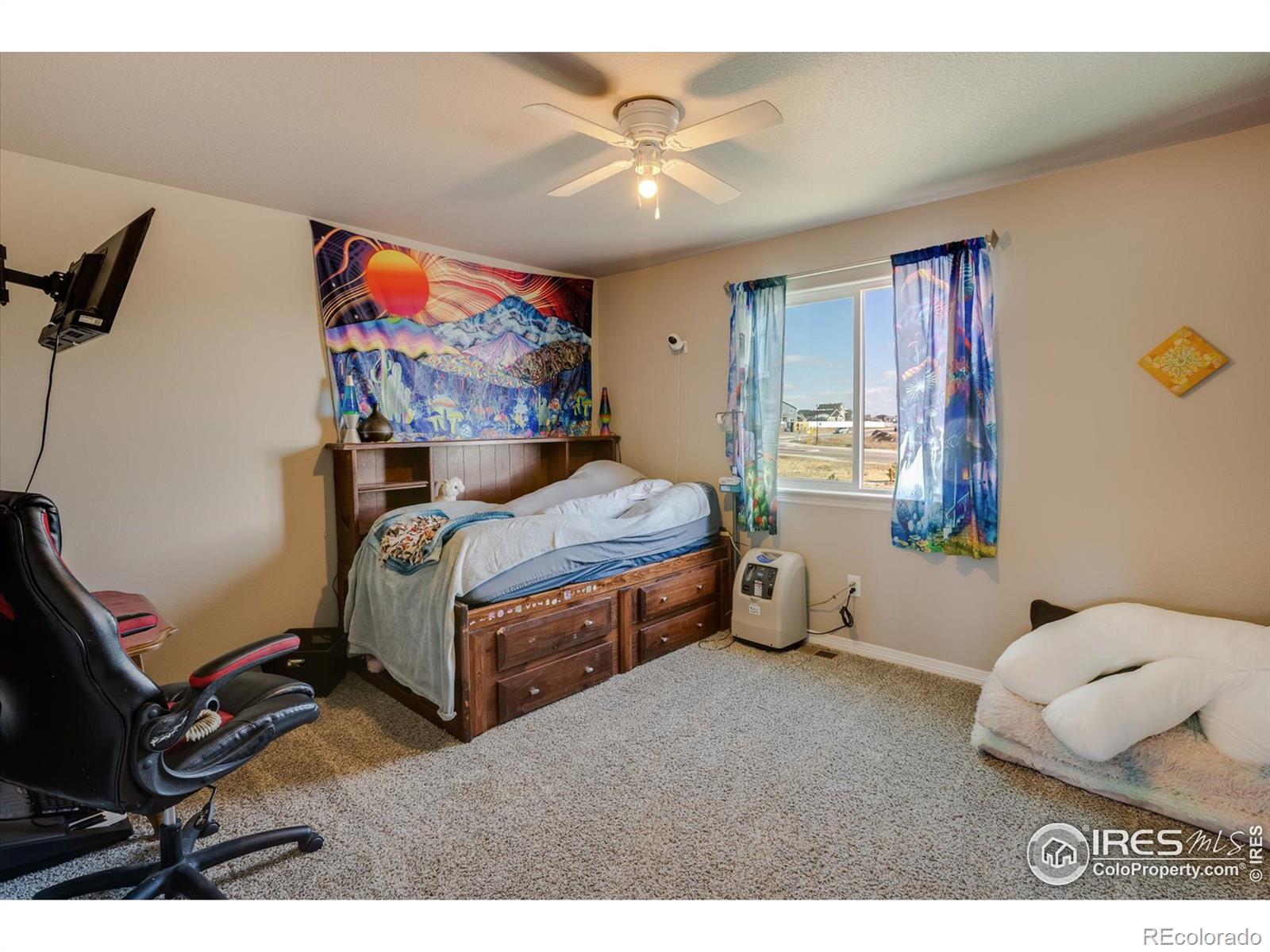 MLS Image #16 for 4689  waltham drive,windsor, Colorado