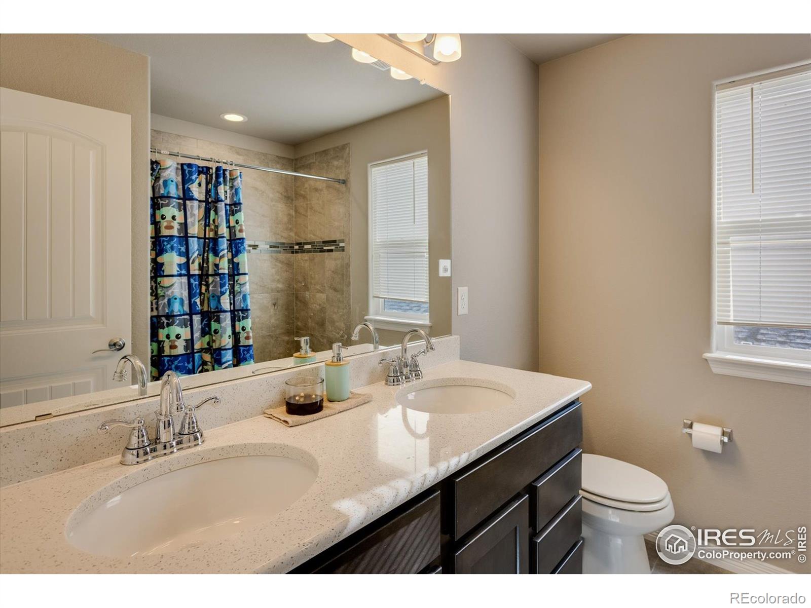 MLS Image #18 for 4689  waltham drive,windsor, Colorado