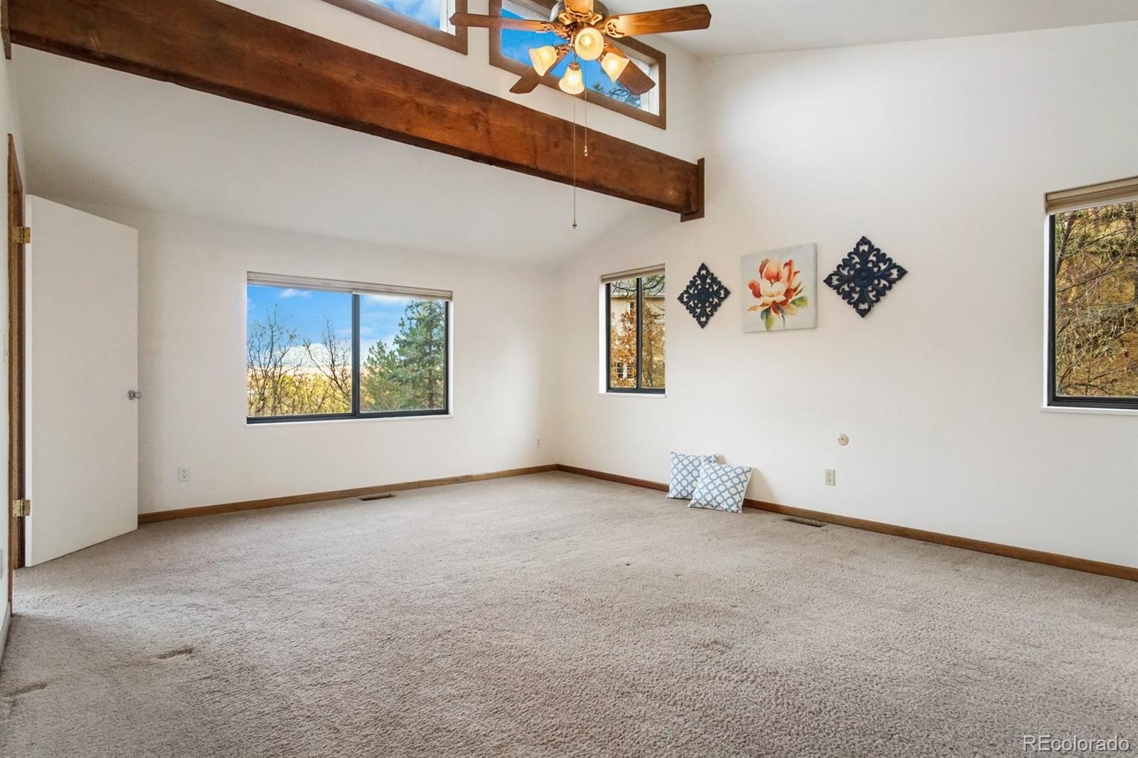 MLS Image #14 for 1355  northface court,colorado springs, Colorado