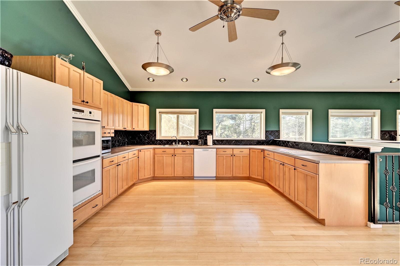 MLS Image #14 for 160  elk horn court,bailey, Colorado
