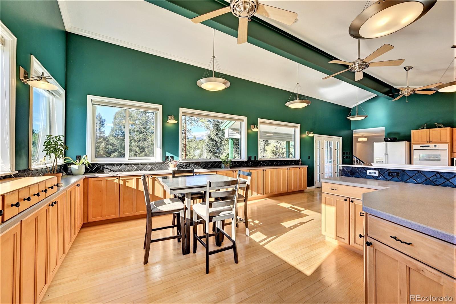 MLS Image #15 for 160  elk horn court,bailey, Colorado