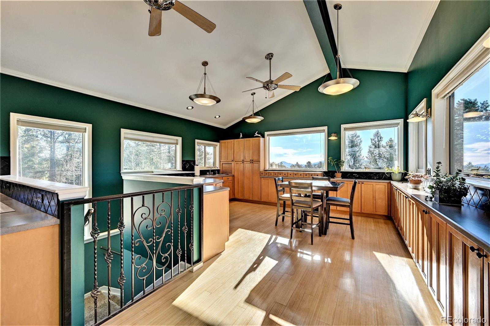MLS Image #17 for 160  elk horn court,bailey, Colorado