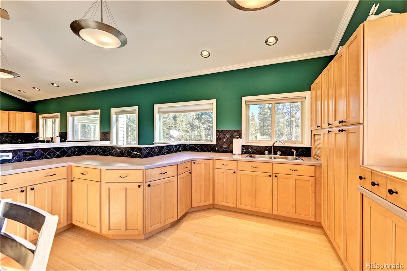 MLS Image #20 for 160  elk horn court,bailey, Colorado