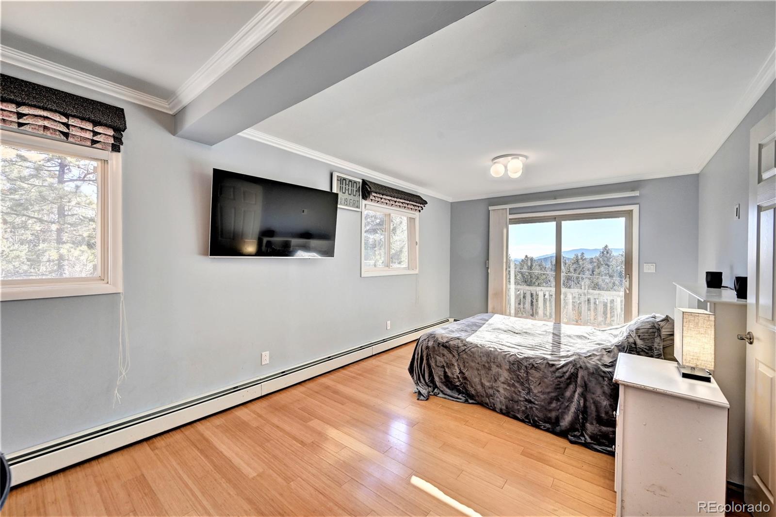 MLS Image #23 for 160  elk horn court,bailey, Colorado