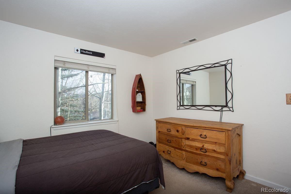 MLS Image #10 for 1505  point drive,frisco, Colorado