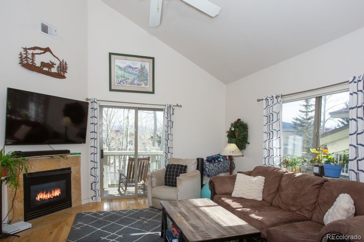 MLS Image #6 for 1505  point drive,frisco, Colorado