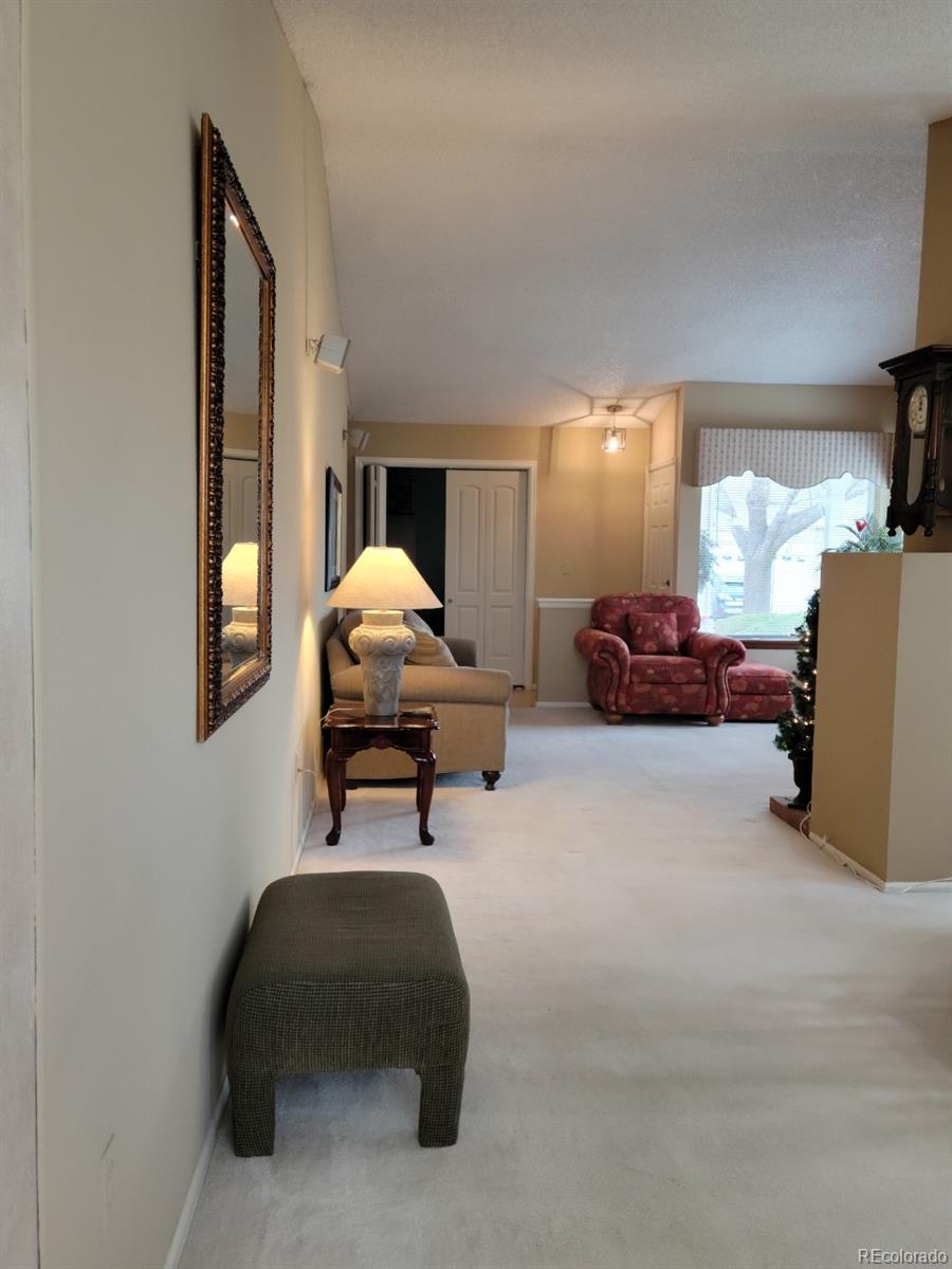 MLS Image #13 for 7  shetland court,highlands ranch, Colorado