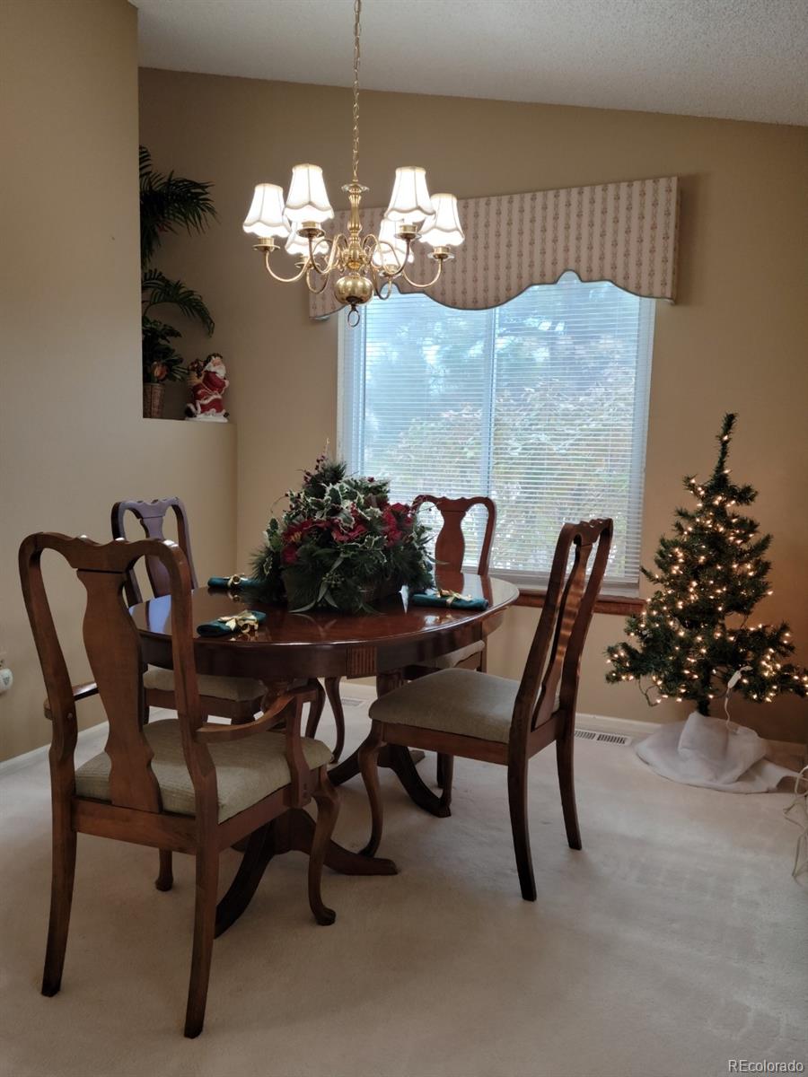 MLS Image #15 for 7  shetland court,highlands ranch, Colorado