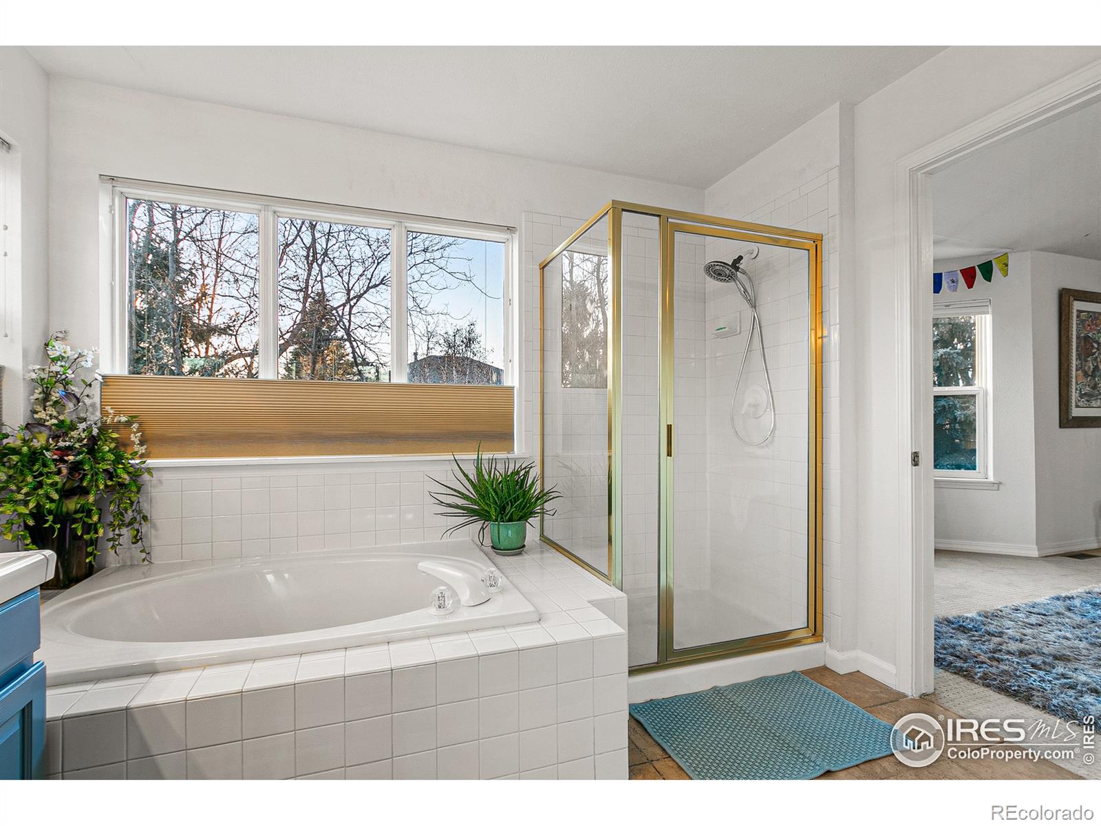 MLS Image #26 for 2319  creekside drive,longmont, Colorado