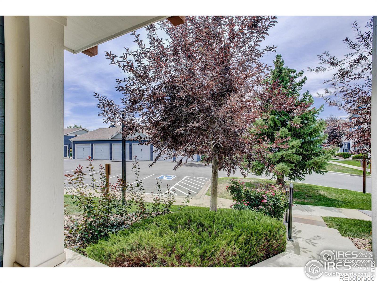 MLS Image #31 for 13900  lake song lane,broomfield, Colorado