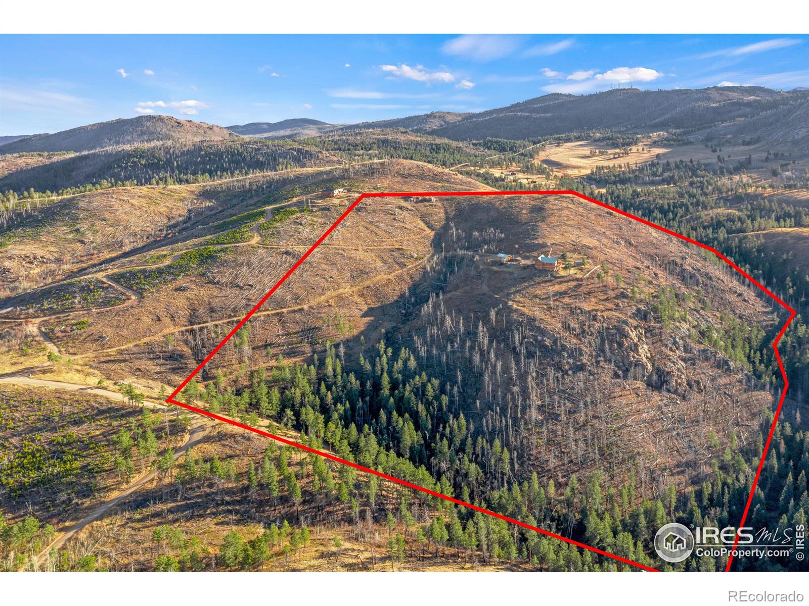 MLS Image #1 for 905  stratton park road,bellvue, Colorado