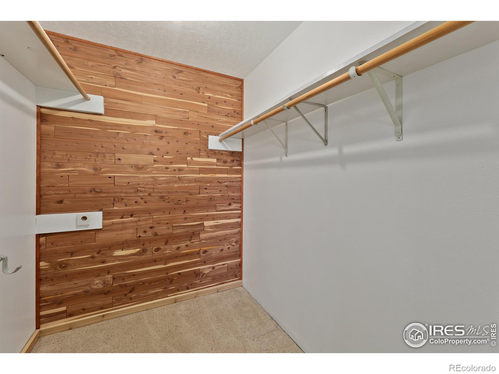 MLS Image #17 for 905  stratton park road,bellvue, Colorado