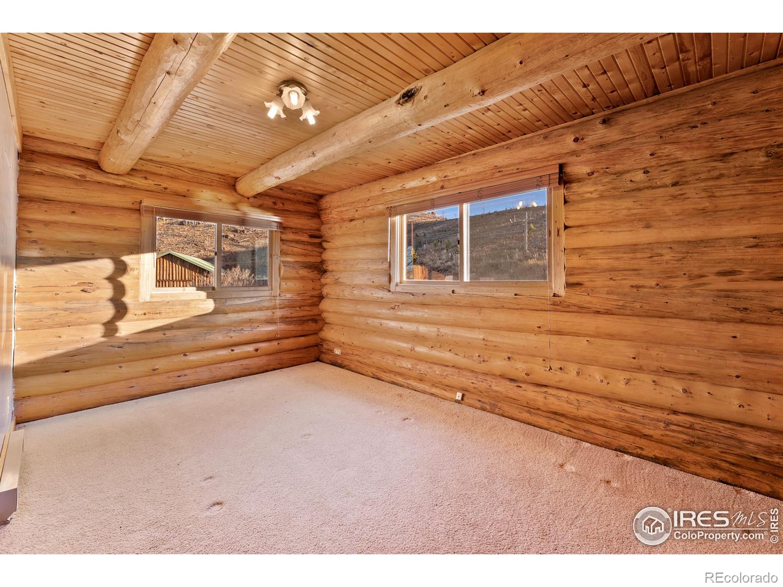 MLS Image #19 for 905  stratton park road,bellvue, Colorado
