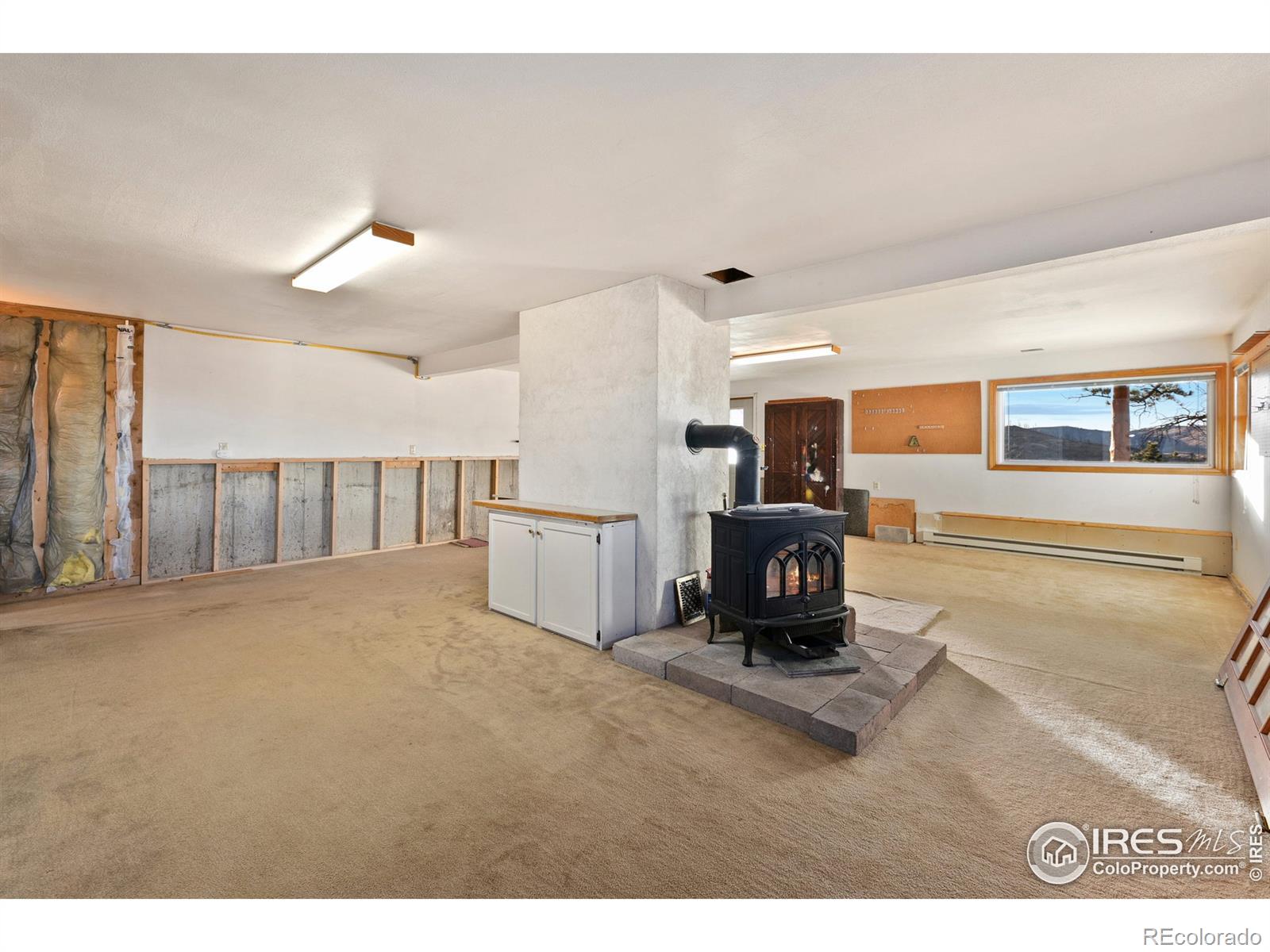 MLS Image #22 for 905  stratton park road,bellvue, Colorado