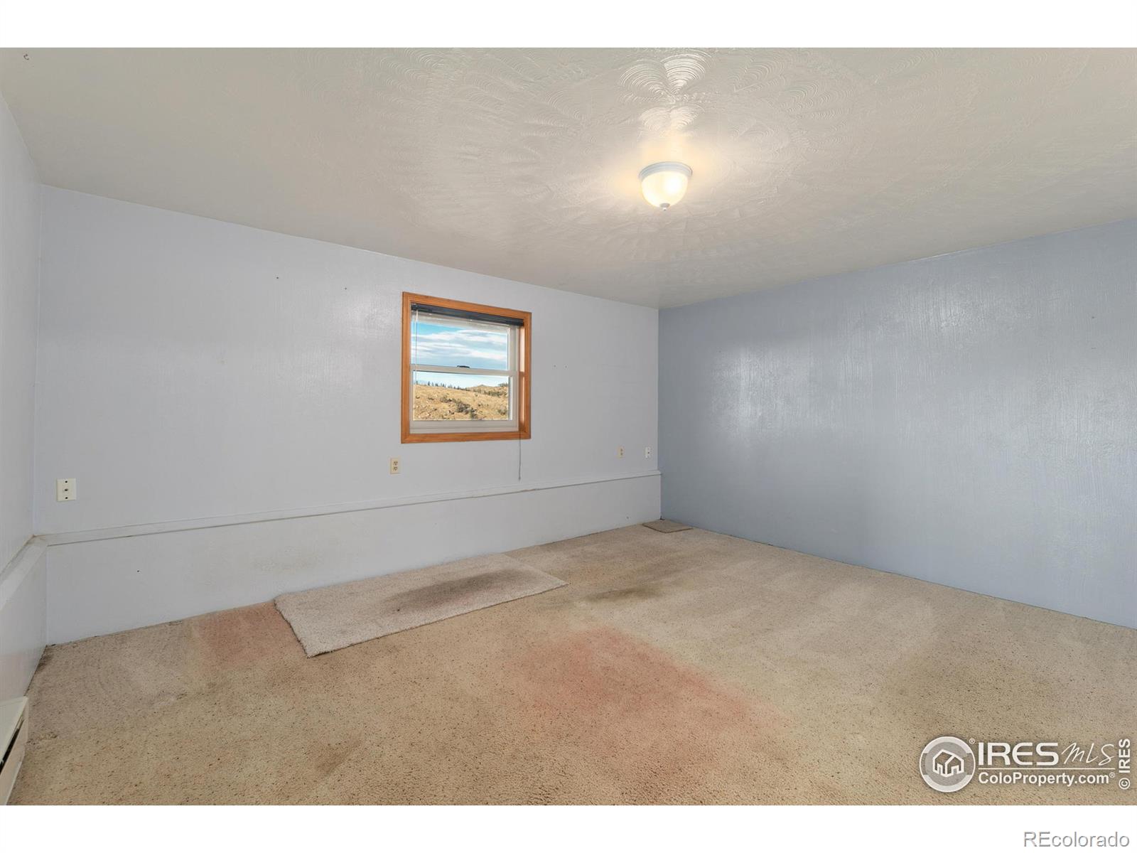 MLS Image #26 for 905  stratton park road,bellvue, Colorado