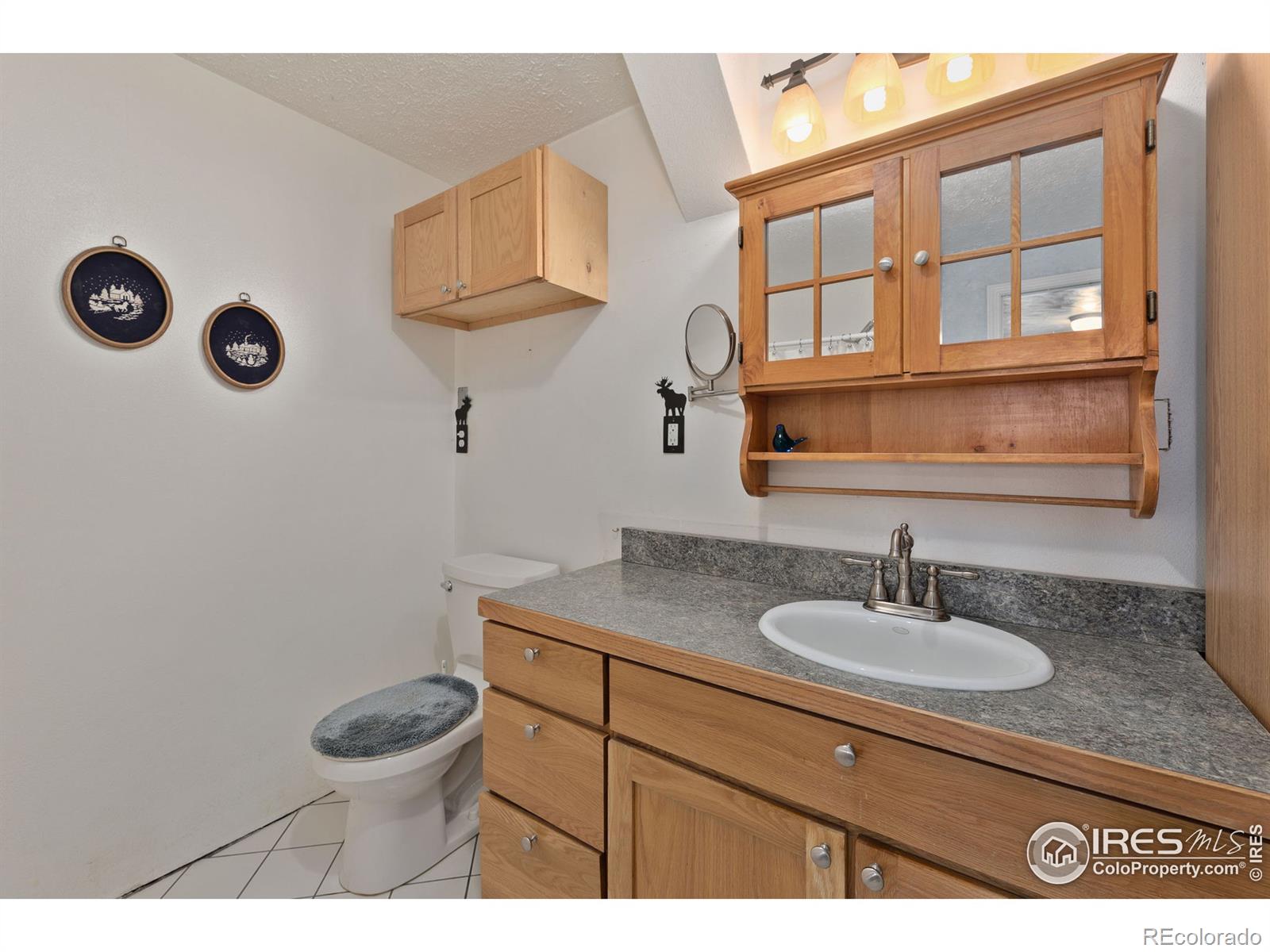 MLS Image #27 for 905  stratton park road,bellvue, Colorado