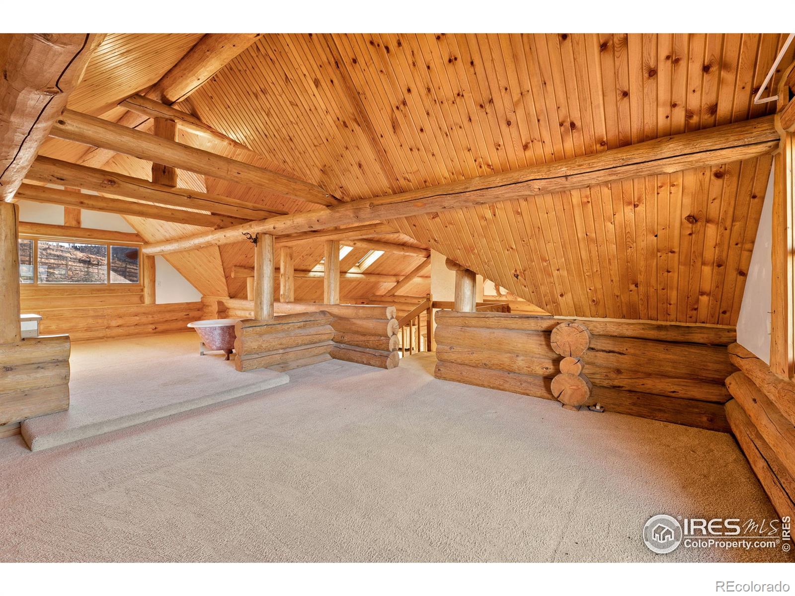 MLS Image #6 for 905  stratton park road,bellvue, Colorado
