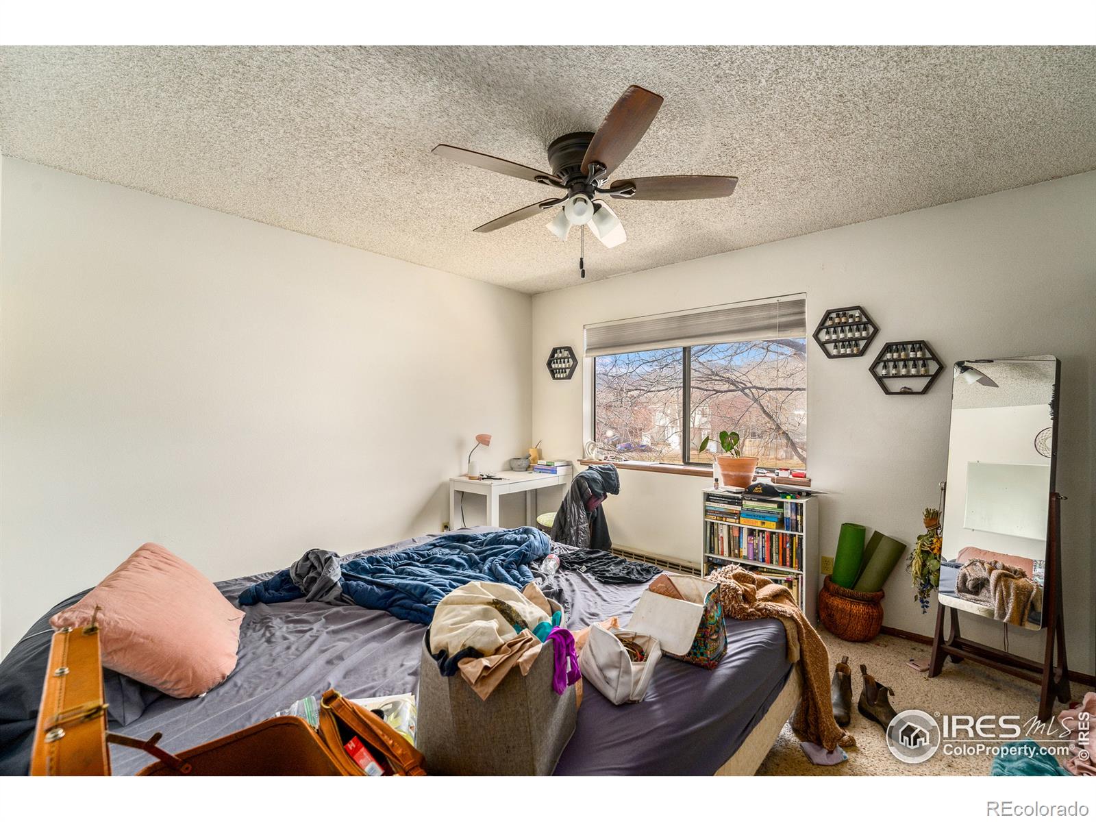 MLS Image #6 for 1900  ross court,fort collins, Colorado