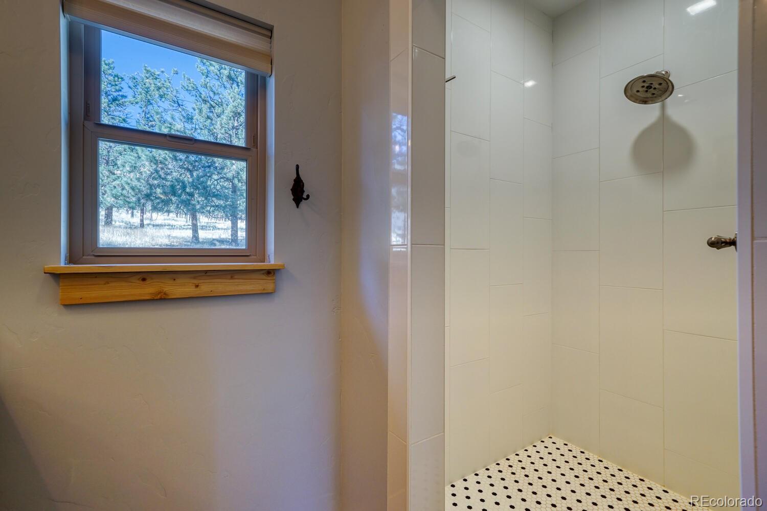 MLS Image #17 for 18435  trail west drive,buena vista, Colorado