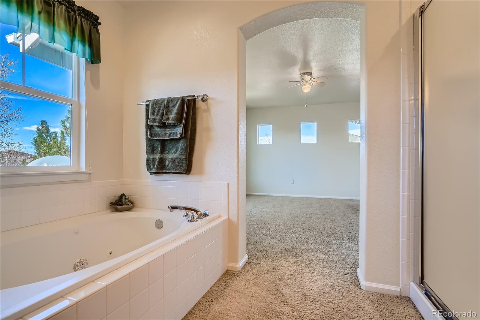 MLS Image #17 for 154  whitehaven circle,highlands ranch, Colorado
